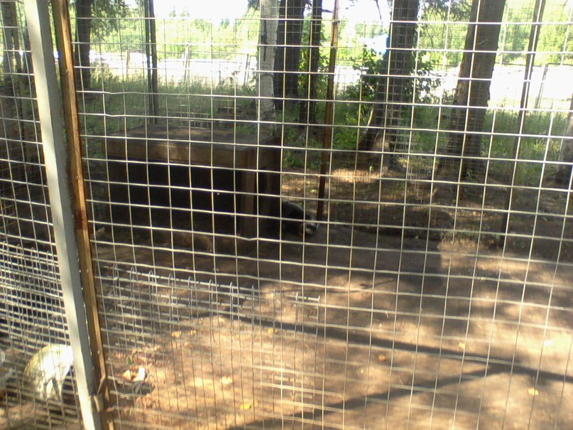 Виктор Крутиков фотография #43