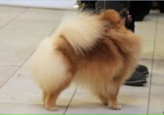 Фотография Амбуль Елены