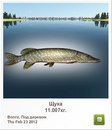 Славік Зайцев фотография #41 (источник - https://vk.com/id97164544)