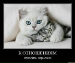 Фотография Воробьевой Анастасии