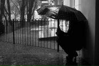 Фотография Зибровой Виктории