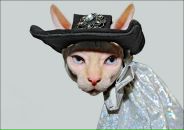 Фотография Заболотских Антонины