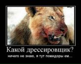 Андрій Кулакевич фотография #25 (источник - https://vk.com/id17212906)