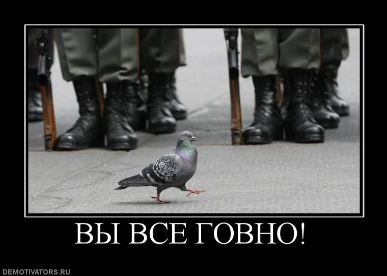 Andy Cap фотография #7