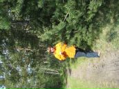 Фотография Ворнакиной Ани