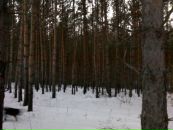 Фотография Соменкова Владимира