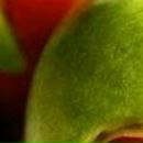 Елена Дмитриева фотография #3 (источник - https://vk.com/id485380)