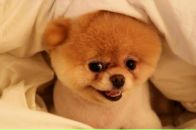 Фотография Колтуновой Ксении