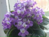 Фотография Васильевой Татьяны