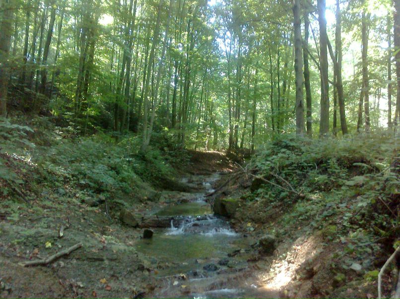 Олег Грищенко фотография #18