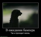 Фотография Морозова Кирилла