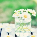 Фотография Бойковой Светланы