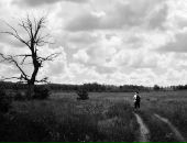 Фотография Венедиктова Алексея