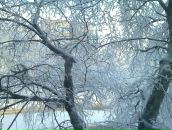 Фотография Заева Алексея