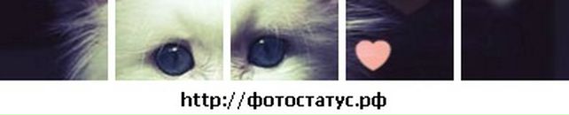 Іванка Мокра фотография #49 (источник - https://vk.com/id64092309)