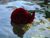 Фотография Проць Оксаны