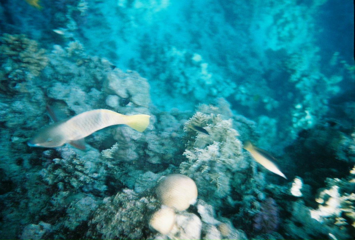 Александр Кадыкеев фотография #49