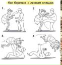 Вадім Горщарук фотография #28 (источник - https://vk.com/id152301792)