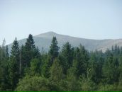 Міша Данилів фотография #29 (источник - https://vk.com/id122798103)