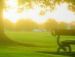Тіма Жмурик фотография #50 (источник - https://vk.com/id112957328)