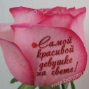 Катюшка ***♣*** фотография #19 (источник - https://vk.com/id125139006)