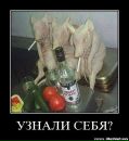 Андрій Шевчишин фотография #47 (источник - https://vk.com/id67460602)