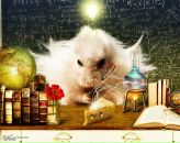 Фотография Рыбась Ксении