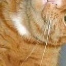 Ірина Пасічник фотография #32 (источник - https://vk.com/id89136098)