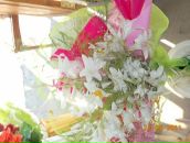 Катюша Кузьмінська фотография #48 (источник - https://vk.com/id32935522)