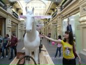 Фотография Липатниковой Анны