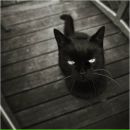 Сергій Шишко фотография #1