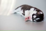 Марія Здробилко фотография #49 (источник - https://vk.com/id8151875)