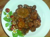 Фотография Боткина Евгения