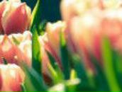 Наталя Якимів фотография #36 (источник - https://vk.com/id28335437)