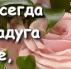 Світлана Хомич фотография #42 (источник - https://vk.com/id142214747)