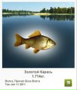 Андрій Білий фотография #6 (источник - https://vk.com/id44617408)
