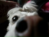 Фотография Черновской Карины