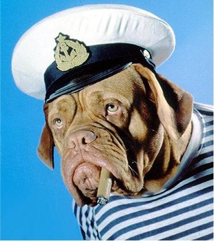 №2, Алексей Алексеевич №2, Алексей Алексеевич