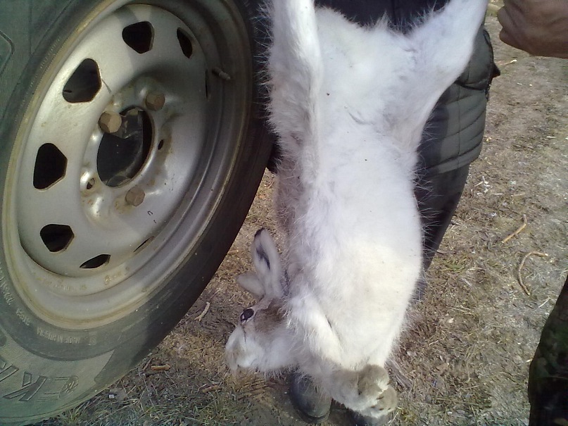 Дмитрий Тунгусков фотография #48