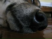 Фотография Акиловой Анны