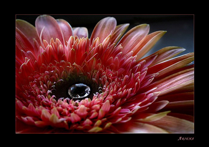 Сергей Черевко фотография #40