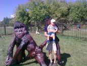 Фотография  