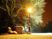 Фотография Любимовой Ольги