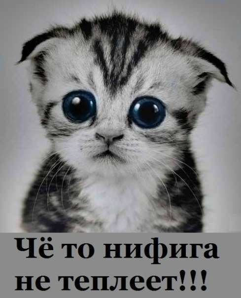 №20, Вадим Фёдоров, Славянск-на-Кубани №20, Вадим Фёдоров, Славянск-на-Кубани