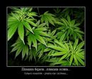 Фотография Кряжева Кирилла