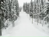 Фотография Климшина Леонида