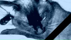 Фотография Молодовой Светланы