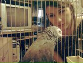 Фотография Риско Марины