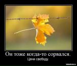 Віталік Бондаренко фотография #16 (источник - https://vk.com/id34627075)