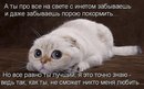 Діма Звонар фотография #5 (источник - https://vk.com/id163356445)